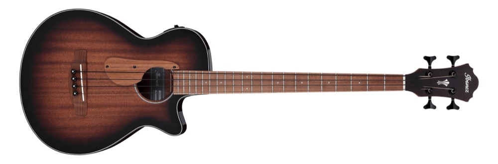 Ibanez AEGB24E 4 String Acoustic Electric  &hellip;