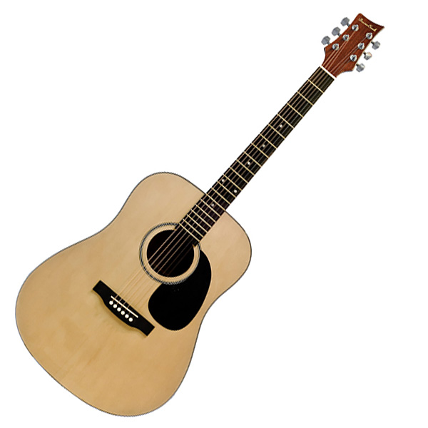Beaver Creek Dreadnought Acoustic Guitar w/Gig Bag