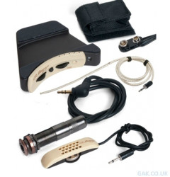 LR Baggs Anthem Tru-Mic With Element  &hellip;