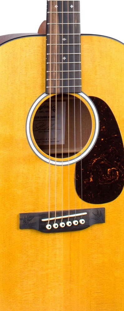 Martin Martin 000JR-10E Shawn Mendes Custom Artist Edition Acoustic, Padded Case - Guitars