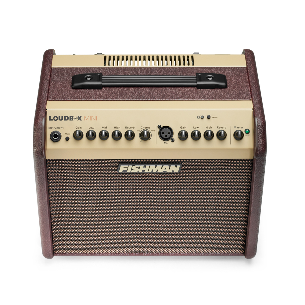 Fishman Fishman Loudbox Mini with Bluetooth Acoustic Guitar Amp - Guitars